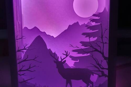 Description de l'image