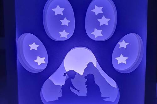 Description de l'image